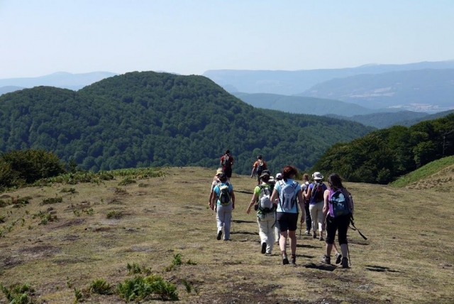 Andando por la comunidad foral de navarra